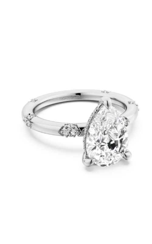Noam Carver .18ctw Diamond Hidden Halo Station Engagement Ring
