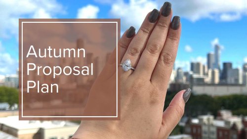 Autumn Proposal Plan
